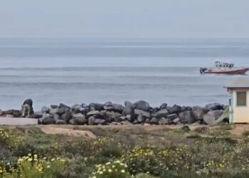 Encuentran quinto cuerpo flotando en mar de Ensenada, BC; podría ser otro soldado desaparecido