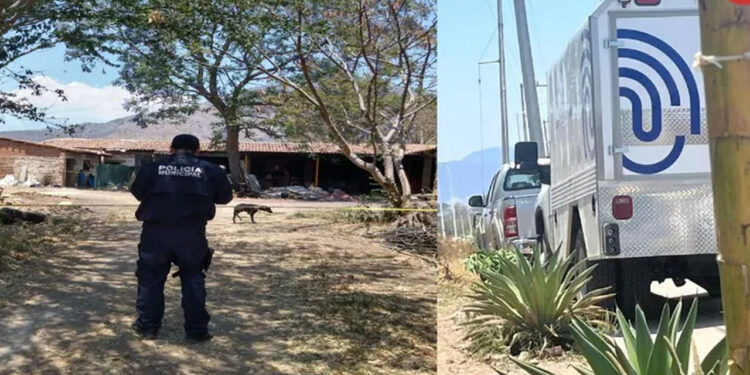 Muere un niño de dos años tras ser atacado por un perro en Tuxpan, Jalisco