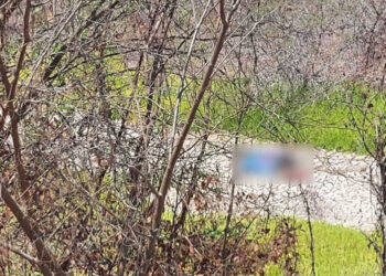 Encuentran hombre asesinado cerca de Carretera hacia Isla de la piedra en Mazatlán