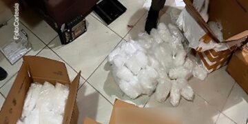 Casi media tonelada de droga y un leopardo “margay” parte de lo asegurado en casa en Tierra Blanca