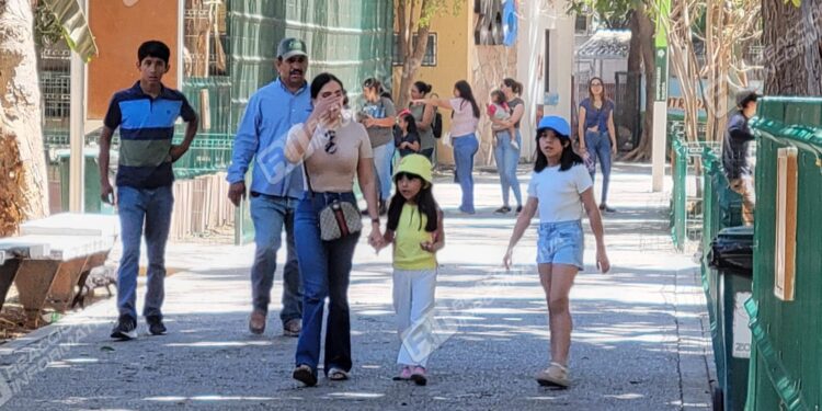 Zoológico de Culiacán celebrará el Día del Niño con entradas gratis