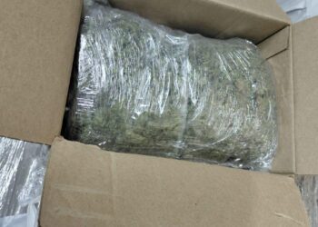 Sedena, GN y Policía Estatal aseguran mariguana en empresa de paquetería