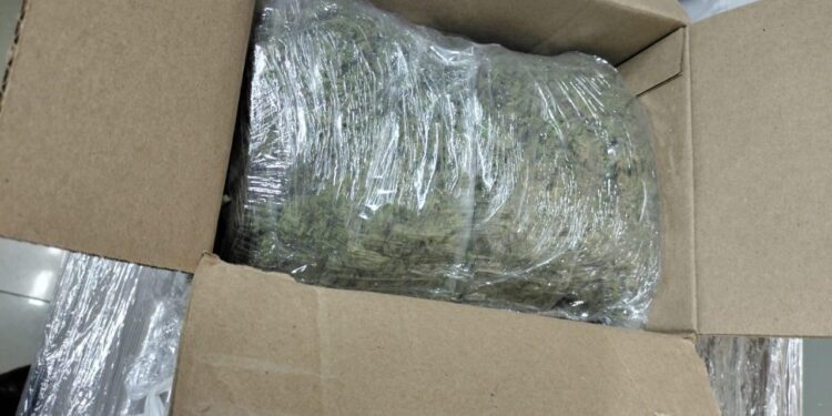 Sedena, GN y Policía Estatal aseguran mariguana en empresa de paquetería
