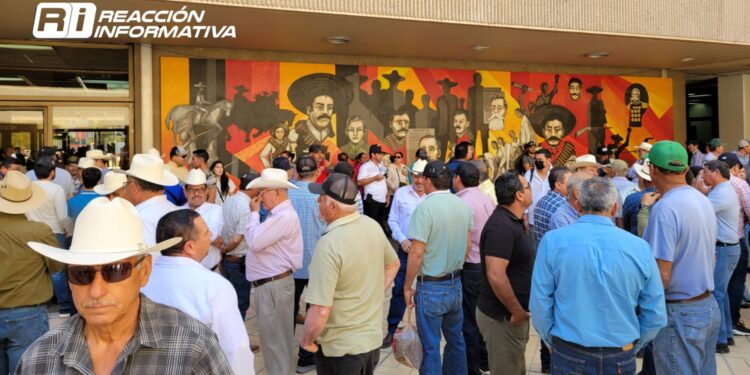 “¡Un precio histórico para golpear al productor!”; Agricultores se manifiestan en Palacio de Gobierno.