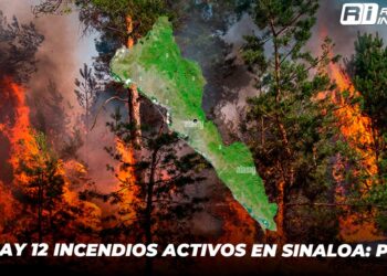 Hay 12 incendios activos en Sinaloa: PC