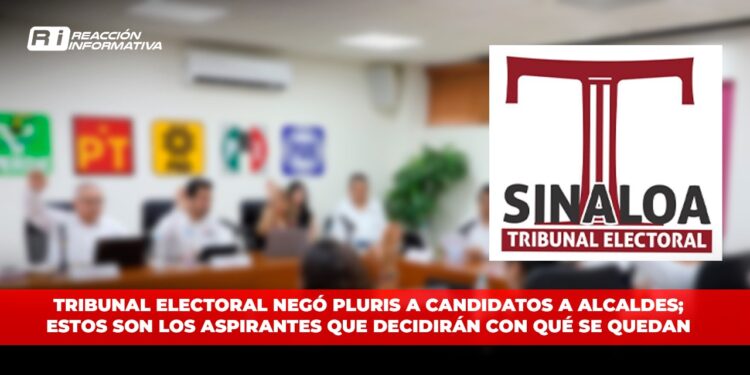 Tribunal Electoral negó pluris a candidatos a alcaldes; estos son los más de 80 aspirantes que decidirán con qué se quedan