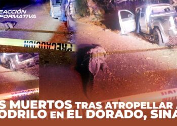 Una mujer y dos hombres mueren al atropellar un cocodrilo y chocar contra un árbol