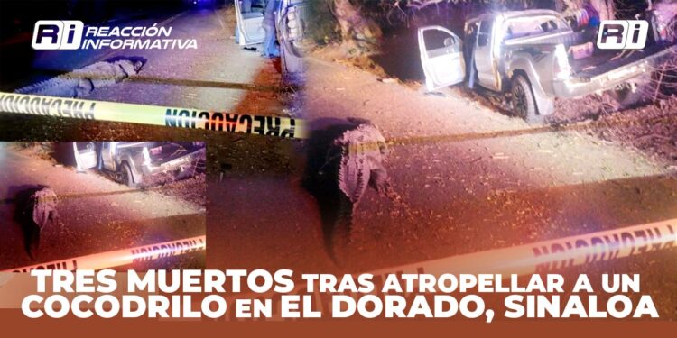 Una mujer y dos hombres mueren al atropellar un cocodrilo y chocar contra un árbol