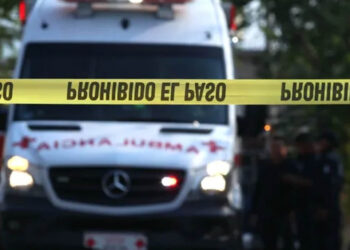 Perro Encuentran Cuerpo Desmembrado y Lleva Pierna a su Casa