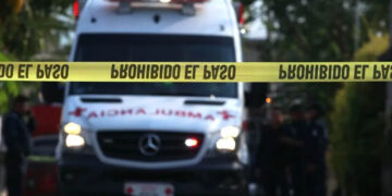 Perro Encuentran Cuerpo Desmembrado y Lleva Pierna a su Casa