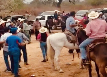 Fiscalía de Sinaloa abre investigación por carrera clandestina de caballos donde fallecieron 2 personas