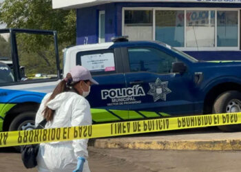 Hombre toma maleta de la basura y descubre una cabeza humana en su interior