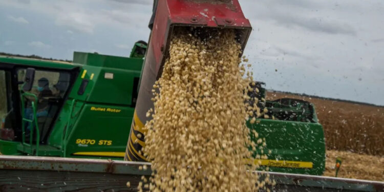 Seguirá importación del Glifosato, “en pausa” su prohibición: AMLO