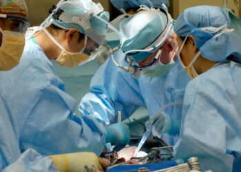 Mujer de EE.UU., segunda persona en el mundo en recibir un riñón procedente de un cerdo