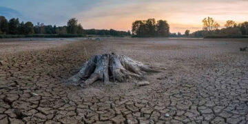 Sequía se extiende a casi 80% del país; hay 10 estados con 100% de municipios afectados