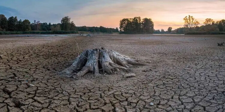 Sequía se extiende a casi 80% del país; hay 10 estados con 100% de municipios afectados