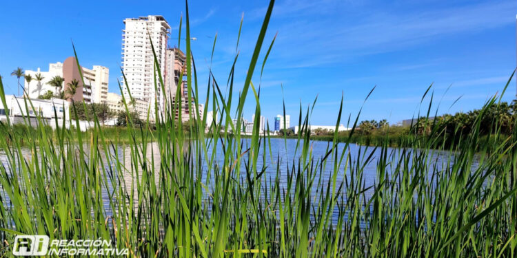 Viernes soleado y poco frío se prevé hoy para Mazatlán