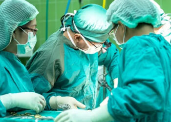 Trasplantan con Éxito Otro Riñón de Cerdo Genéticamente Modificado a Cuerpo Humano