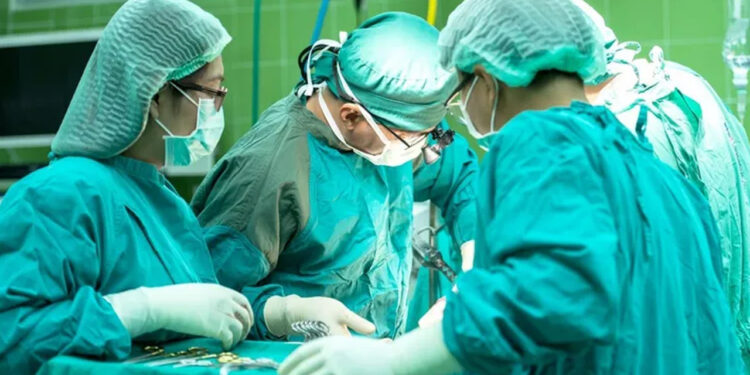 Trasplantan con Éxito Otro Riñón de Cerdo Genéticamente Modificado a Cuerpo Humano