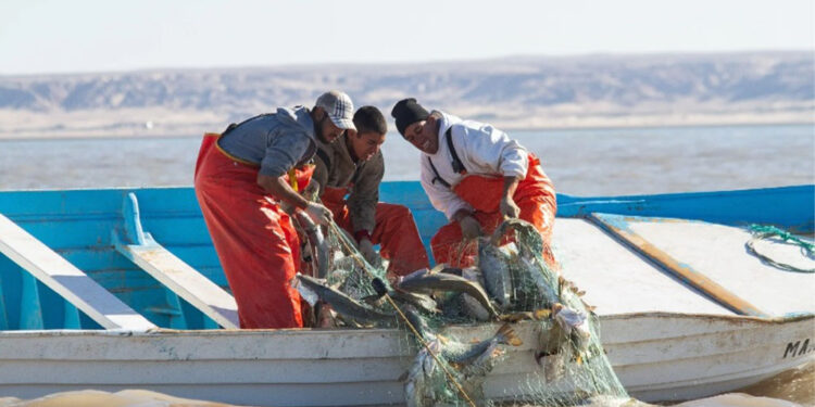 Gobierno de AMLO se ha echado para atrás en el combate a la pesca ilegal: Oceana