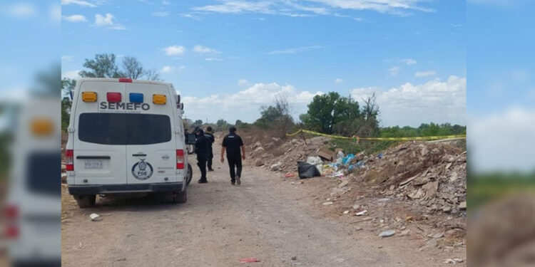 Sabuesas Guerreras encuentran otro cuerpo en Culiacán; el colectivo de mujeres continúan en su lucha incansable