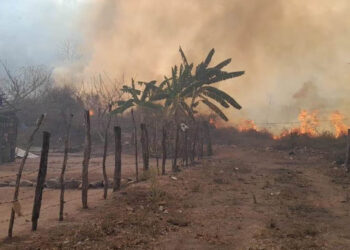 Suman 9 incendios forestales activos en varios municipios de Sinaloa
