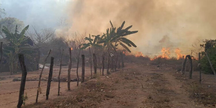 Suman 9 incendios forestales activos en varios municipios de Sinaloa