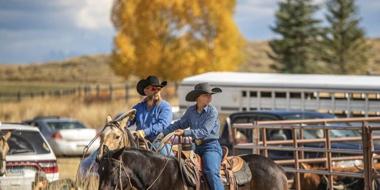 Hombre y sus 34 vacas MUEREN tras caerles un rayo