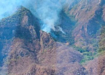 Incendio forestal amenaza hogares en Elota, Sinaloa; hay dos brigadistas muertos