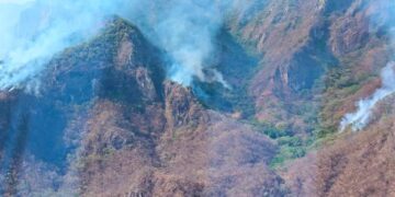 Incendio forestal amenaza hogares en Elota, Sinaloa; hay dos brigadistas muertos