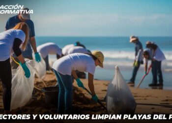 Recolectores y voluntarios limpian playas del puerto