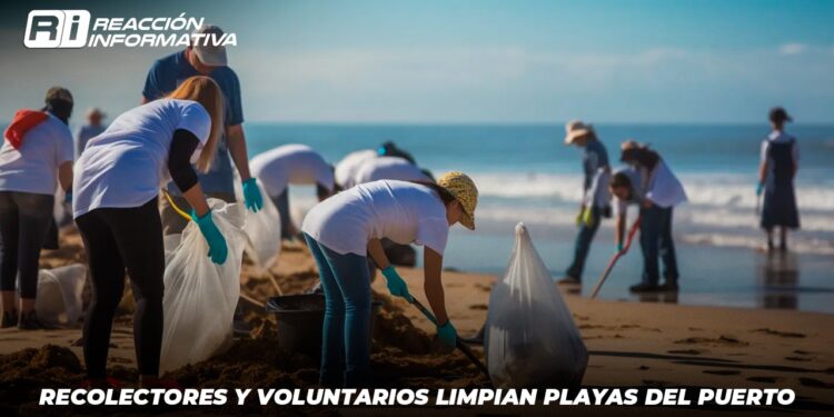 Recolectores y voluntarios limpian playas del puerto