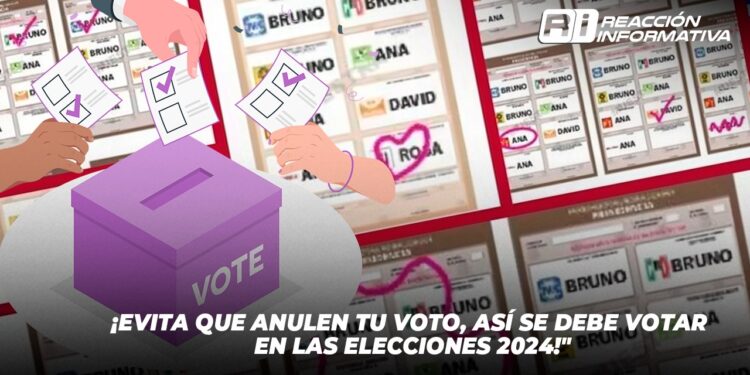¡Evita que anulen tu voto, así se debe votar en las elecciones 2024!