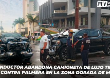 Conductor abandona camioneta de lujo tras chocar contra palmera en la Zona Dorada de Mazatlán