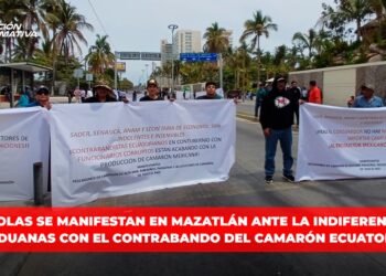 Acuícolas se manifestan en Mazatlán ante la indiferencia de las aduanas con el contrabando del camarón ecuatoriano