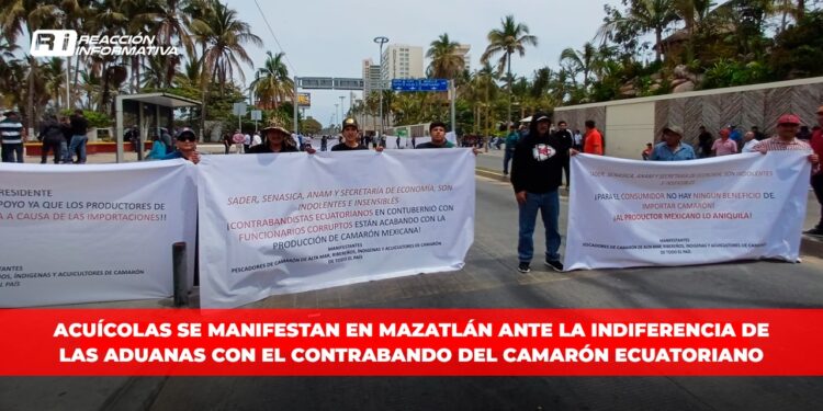 Acuícolas se manifestan en Mazatlán ante la indiferencia de las aduanas con el contrabando del camarón ecuatoriano