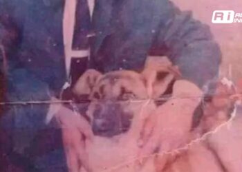 Rescatan a un hombre secuestrado hace 26 años por su vecino en Argelia