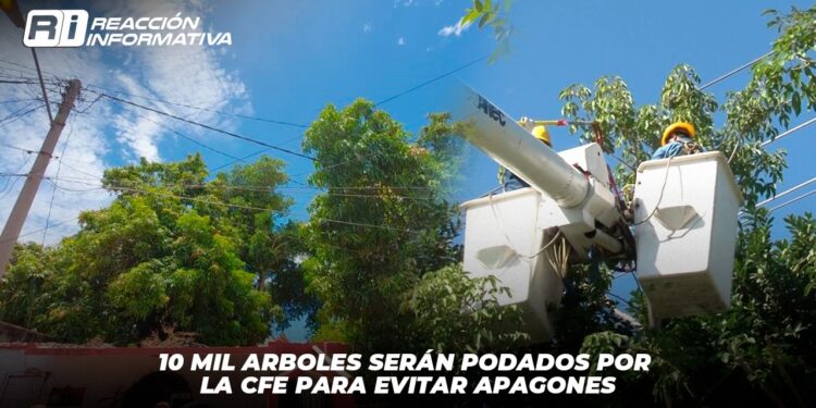 10 mil árboles serán podados por la CFE para evitar apagones