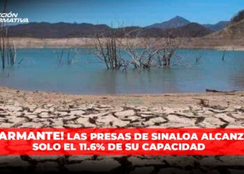 Las presas de Sinaloa alcanzan solo el 11.6% de su capacidad