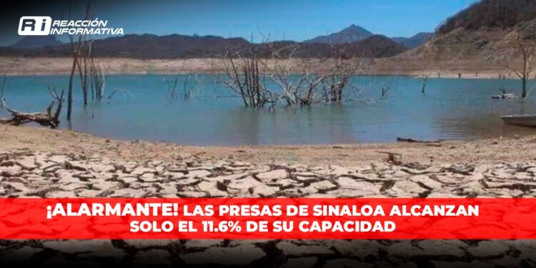 Las presas de Sinaloa alcanzan solo el 11.6% de su capacidad