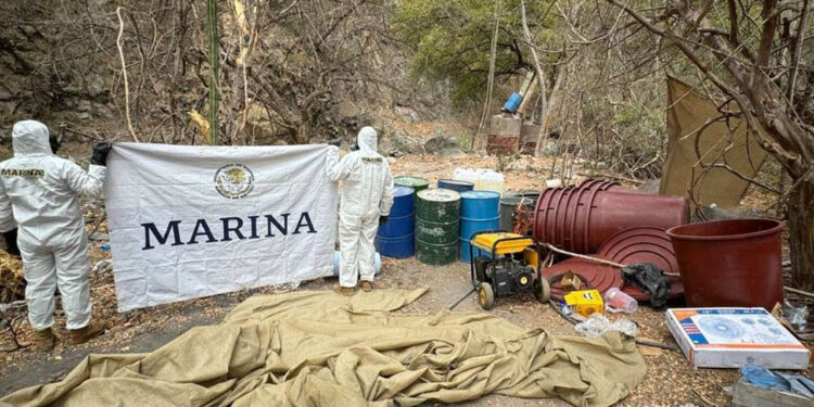 Marina localiza y desmantela ocho laboratorios para la elaboración de drogas sintéticas en Sinaloa
