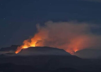 Combaten incendio forestal en área natural protegida de Sinaloa