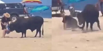 VIDEO: Toro ataca a una mujer en playa de Los Cabos, Baja California Sur