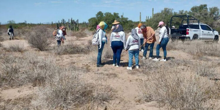 FGJ difunde fotos de mujer y menor cuyas identificaciones se hallaron cerca de posible crematorio clandestino