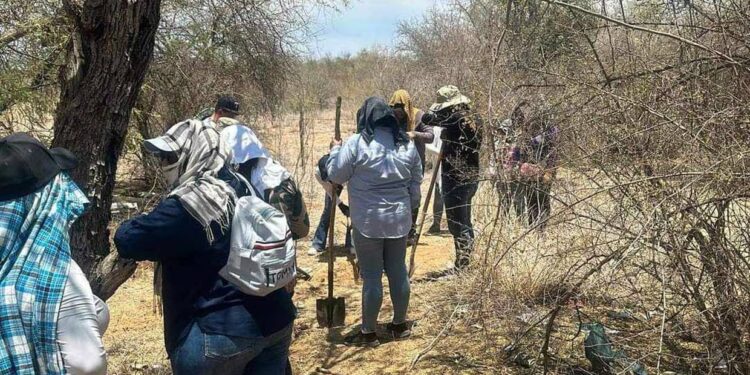 Madres Buscadoras encuentran restos humanos en Pesqueira