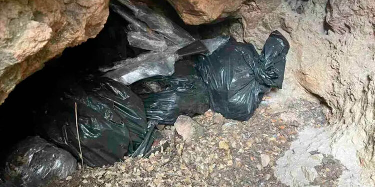 Guardia Nacional localiza armas en Parque Natural de Zacatecas