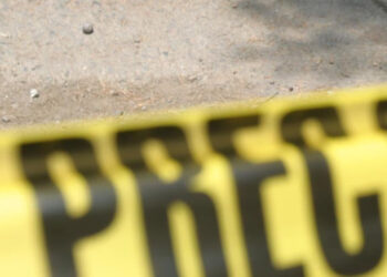 Hombre muere por descarga eléctrica al podar árbol en Guasave; segundo accidente en menos de dos semanas