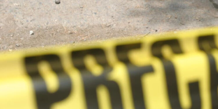 Hombre muere por descarga eléctrica al podar árbol en Guasave; segundo accidente en menos de dos semanas