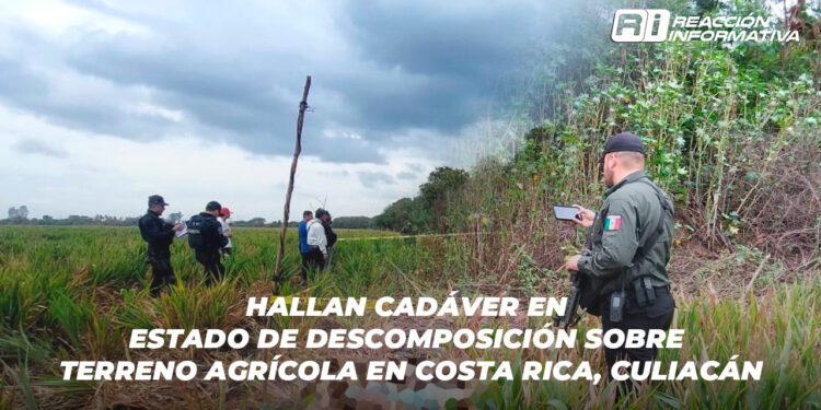 Hallan cadáver en estado de descomposición sobre terreno agrícola en Costa Rica, Culiacán