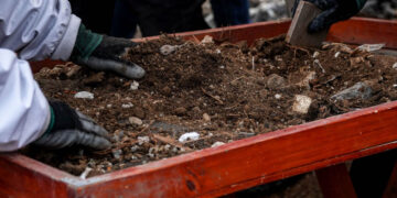 Hallan restos de 16 personas en fosas clandestinas en Jacona, Michoacán